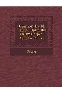 Opinion de M. Faure, D Put Des Hautes-Alpes, Sur La Pairie