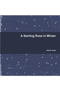 A Sterling Rose in Winter