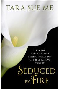 Seduced By Fire: A Partners In Play Novel