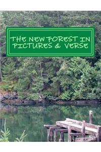 The New Forest in Picture & Verse