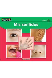 MIS Sentidos Leveled Text