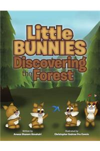 Little Bunnies Discovering the Forest