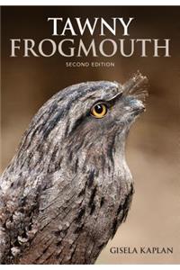 Tawny Frogmouth