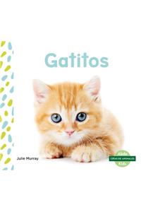 Gatitos (Kittens) (Spanish Version)