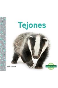 Tejones/ Badgers