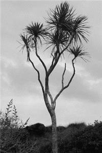 New Zealand Cabbage Tree Journal