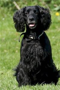 Darling Black English Cocker Spaniel Puppy Dog Journal