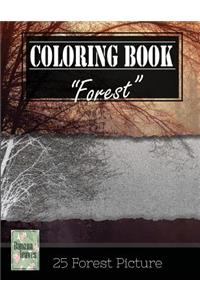 Forest Wilderness Gray Scale Photo Adult Coloring Book, Mind Relaxation Stress Relief