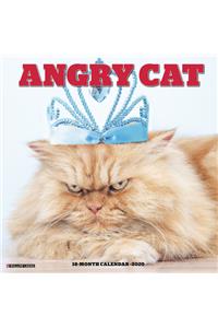 Angry Cat 2020 Square Wall Calendar