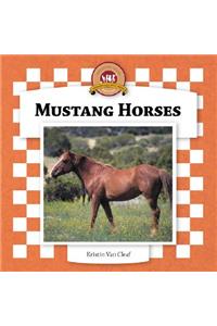 Mustang Horses