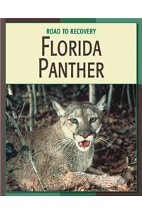 Florida Panther
