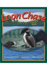 Loon Chase