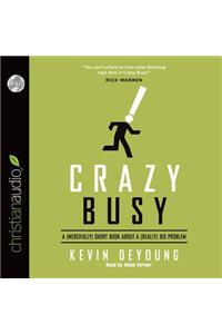 Crazy Busy: A (Mercifully) Short Book about a (Really) Big Problem