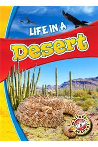 Life in a Desert
