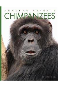 Chimpanzees