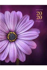 365 Page Daily Affirmations Planner Notebook - 2020 - Undated Journal with 365 Affirmations for Success and Self-Love
