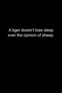A tiger doesn't lose sleep over the opinion of sheep.