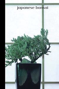 japanese bonsai