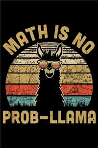 Math Is No Prob-Llama