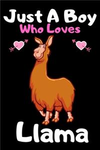 Just a boy who loves llama