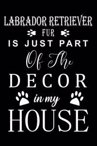 Labrador Retriever Fur is just part of the decor in my house