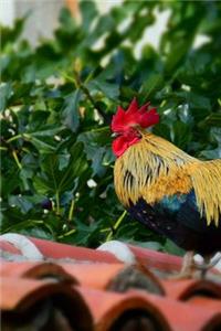 Brightly Colored Rooster on a Roof Journal
