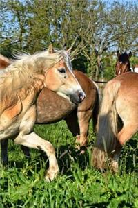 Chestnut Notebook