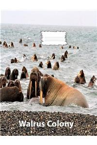 Walrus Colony Wide Ruled Line Paper Composition Book