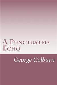 Punctuated Echo