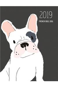 2019 French Bull Dog