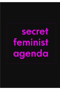 Secret Feminist Agenda