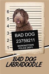 Bad Dog Labradoodle