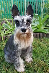 Seriously Adorable Schnauzer Dog in the Garden Journal