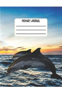 Primary Journal