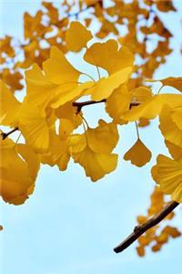 Stunning Yellow Leaves of a Ginkgo Tree Journal