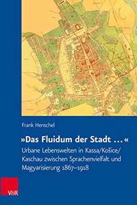 Das Fluidum Der Stadt ...