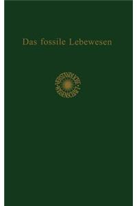 Das Fossile Lebewesen