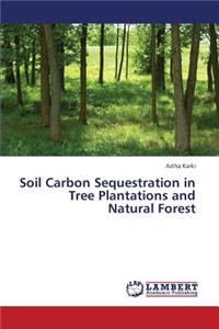 Soil Carbon Sequestration in Tree Plantations and Natural Forest