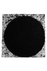 Richard Serra
