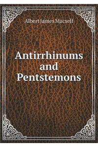 Antirrhinums and Pentstemons