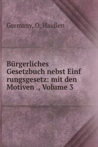 Burgerliches Gesetzbuch Nebst Einfrungsgesetz: Mit Den Motiven Und Sonstigen Gesetzgeberischen Vorarbeiten, Volume 3 (German Edition)