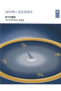 Human Development Report 2013