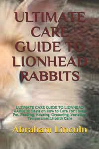 Ultimate Care Guide to Lionhead Rabbits