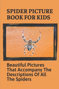 Spider Picture Book For Kids