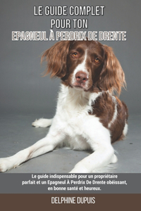 Le guide complet pour ton Epagneul À Perdrix De Drente