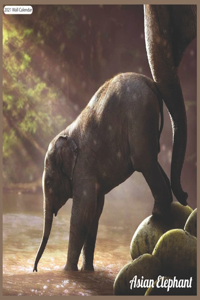 Asian Elephant 2021 Wall Calendar