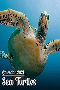 Calendar 2021 Sea Turtles