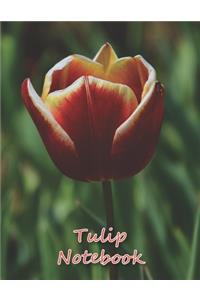 Tulip Notebook