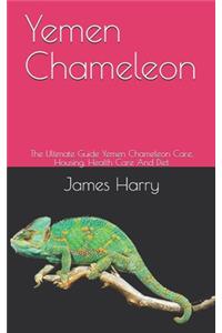 Yemen Chameleon