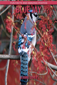 Blue Jay